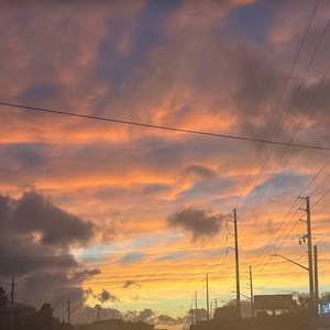 Meet your Posher, Emery